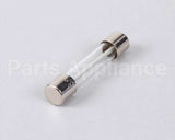 AT0E-2731-1 Accutemp Fuse, Slo Blow, 3 Amp