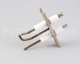 AT1E-3795 Accutemp Electrode Assembly - Evolution Gas