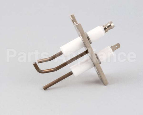 AT1E-3795 Accutemp Electrode Assembly - Evolution Gas