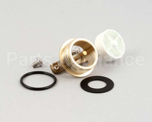 B-0969-RK01 T&S Brass B-0969 Vacuum Breaker Repair Kit