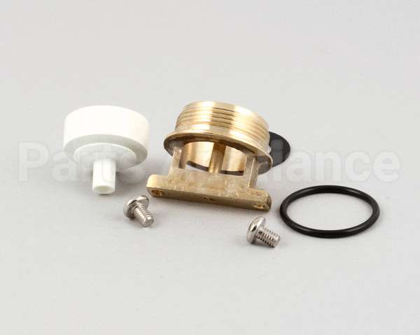 B-0969-RK01 T&S Brass B-0969 Vacuum Breaker Repair Kit