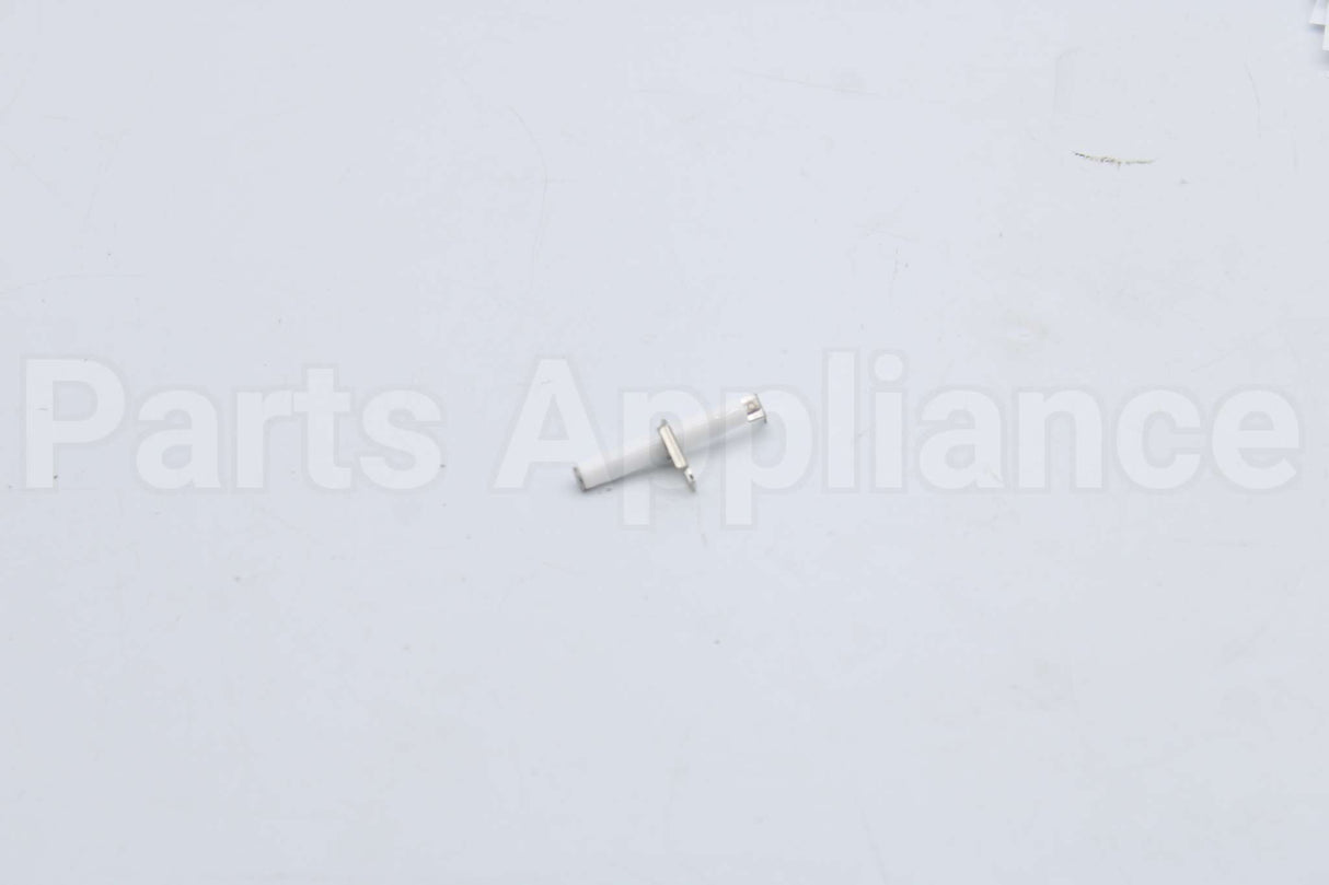 10004177 Bosch Electrode