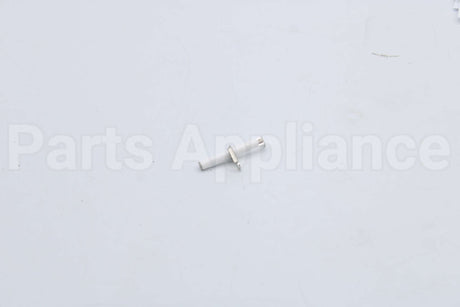 10004177 Bosch Electrode