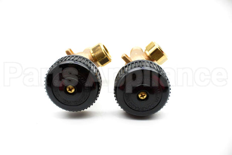 21-205-03 Conbraco Industries 1/2" Top & Btm Gauge Cock Set