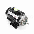 B116 Century Pool And Spa Pump Motor