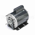 B312 Marathon Belt Drive Blower Motor