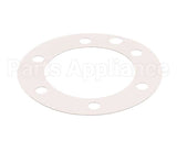 XP1011 Globe Fiber Gasket (Xvga/Xvsa)