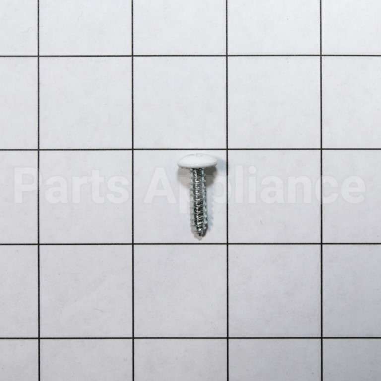 WE2M225 GE Screw White 10-16 3/4