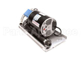 B6678535-C Pitco Filter,Pump Viking 115V Sg 21H