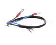 B6746701 Pitco Wiring,Millivolt Thermostat Ce Sg