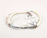 B6747101 Pitco Wiring,Spinal Tap Lwr W/Rel Brd S