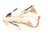 B6753001 Pitco Wiring,Raceway 24Rufm Dd