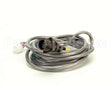 B6755501 Pitco Wiring,Cbl Remote Hood