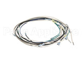 B6756101 Pitco Wiring,Mains To Transformer 440-480 Se18