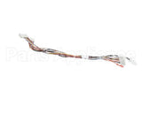 B6761601 Pitco Wiring,Sol To Utop Dig Ssp/Srt