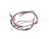 B6763301 Pitco Wire, Harness, P508