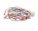 B6781001 Pitco Wiring,Single Control Pnl Mkgei