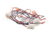 B6781001 Pitco Wiring,Single Control Pnl Mkgei