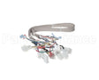 B6781901 Pitco Wrg, Lv Srte Harness