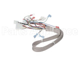 B6781901 Pitco Wrg, Lv Srte Harness