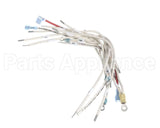B6782301 Pitco Wrg, Hv 3Ph Wye Srte