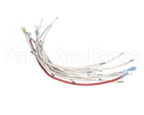 B6782301 Pitco Wrg, Hv 3Ph Wye Srte