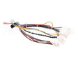 B6783201-C Pitco Wiring,Bzl Dig Cpi W/Dc Srtg