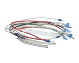 B6787701 Pitco Wiring,Hv 3Ph Sspe