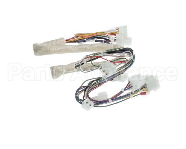 B6788101 Pitco Wiring,Spinal Tap Sspg