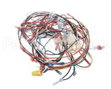 B6792601 Pitco Wiring,Gpc Digital W/Ei