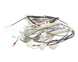 B6796302 Pitco Wiring,Power Control Box Tb-Srtg Rh