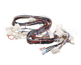 B6803601 Pitco Wiring,Control Single Sshlv