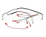 B6811701 Pitco Wrg,Gas Valve & Ign Sglvrf