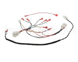 B6811701 Pitco Wrg,Gas Valve & Ign Sglvrf