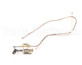 B8025415-C Pitco Pg,Plt Assembly 14R Tcpl Nat