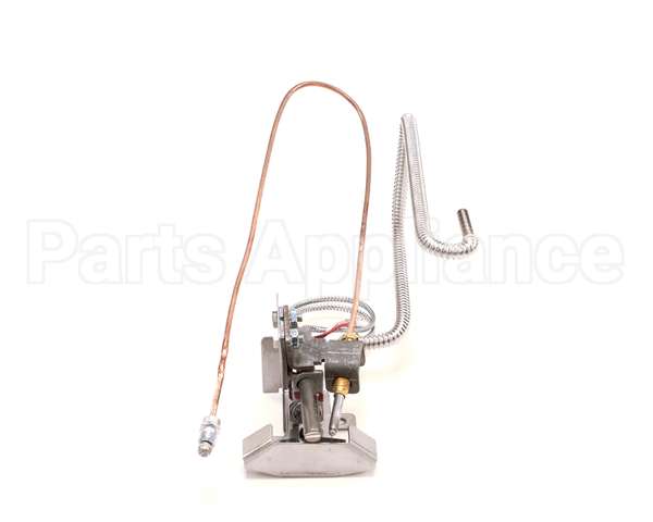 B8032104-C Pitco Pg,Plt Assembly Sg Ce Lp