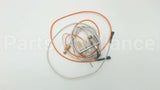 511-330-081 Weil Mclain Lp Pilot Assembly