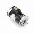 B966 Century Pool And Spa Pump Motor