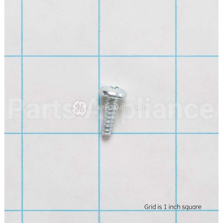 WE2M173 GE Screw