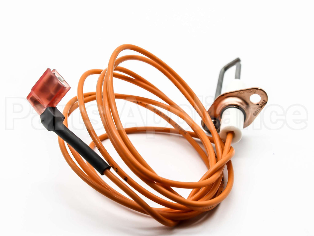 20261709S Amana-Goodman Ignitor