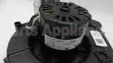 BLW1139 Trane 1 Stage Draft Inducer Blower