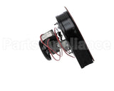BLWR-240-50 Food Warming Blower Assembly 240V, 50Hz