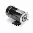 BN35V1 Century Pool And Spa Pump Motor