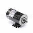 BN36 Century Pool And Spa Pump Motor