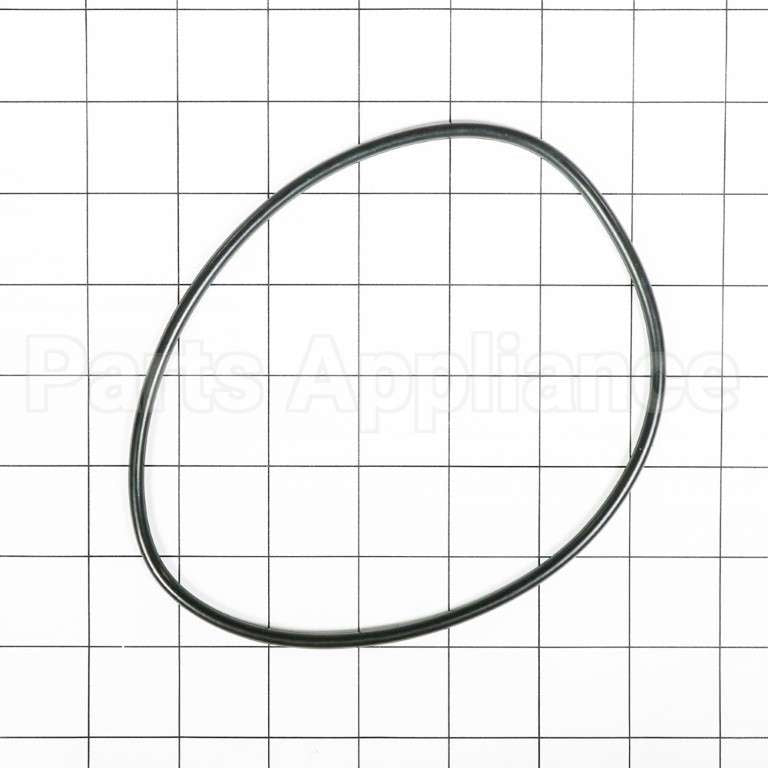 WS03X10054 GE O-Ring