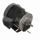 C289 Marathon Motor