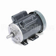 C297 Marathon Motor