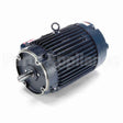C303C Marathon Motor
