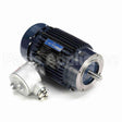 C308B Marathon Motor
