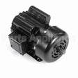 C317V1 Century Grain Stirring Motor